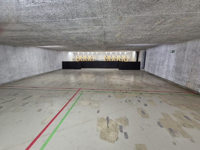 PP1 Scheibe Kurzwaffe